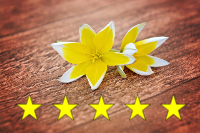 Reviews